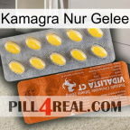 Kamagra Only Jelly 42